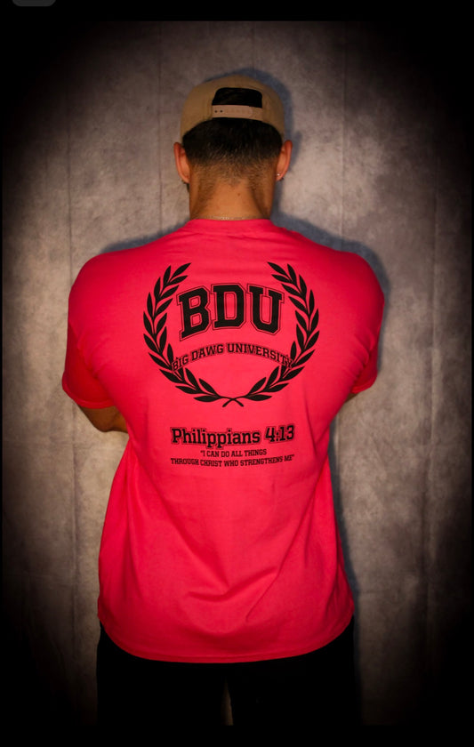 Pink/Black Wreath T-shirt