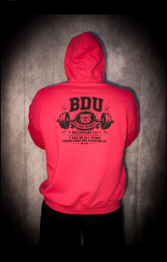 Pink/Black Hoodie